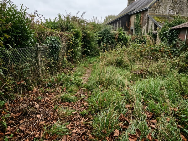 Jardin avant intervention